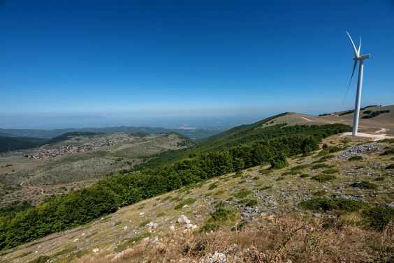 Forest and land area 1