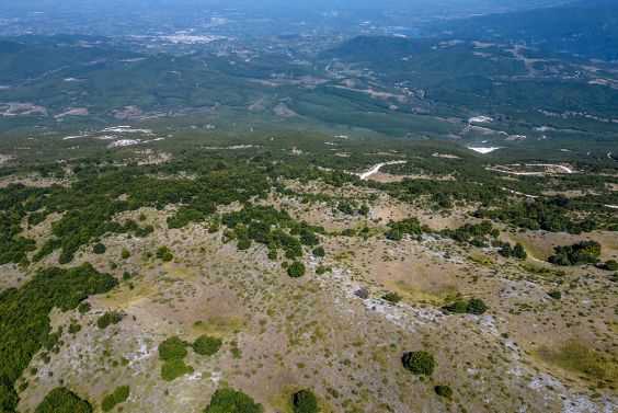 Forest and land area 2