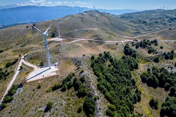 Forest and land area 4