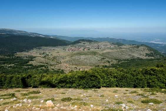 Forest and land area 6