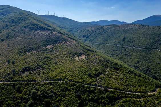 Forest and land area 7