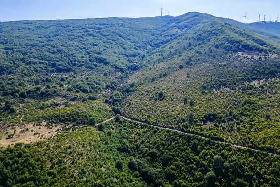 Forest and land area 8