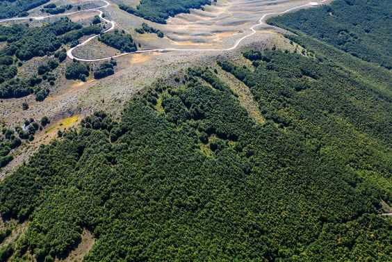 Forest and land area 9